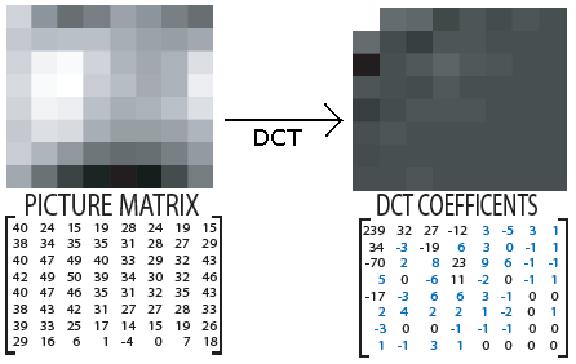 Transformation of 8 x 8 picture matrix to DCT coefficients