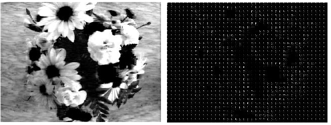 Image and its DCT coefficients